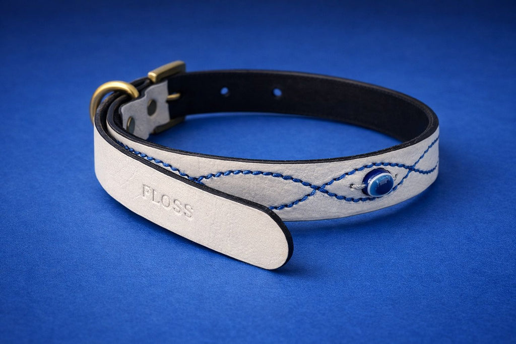 Nazar Leash & Collar Combo